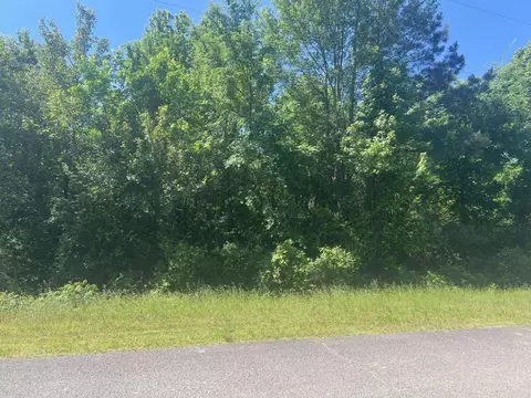 16 Caney Meadows Dr, Plumerville, AR 72127 photo 8
