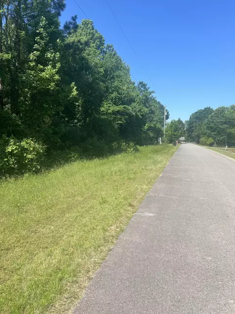 16 Caney Meadows Dr, Plumerville, AR 72127 photo 9