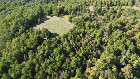 307 Bammy Dr, Harriet, AR 72639 photo 12