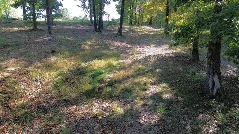 307 Bammy Dr, Harriet, AR 72639 photo 24