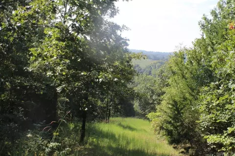 307 Bammy Dr, Harriet, AR 72639 photo 29