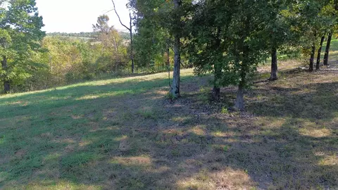 307 Bammy Dr, Harriet, AR 72639 photo 23