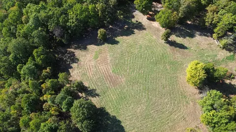 307 Bammy Dr, Harriet, AR 72639 photo 11