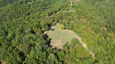 307 Bammy Dr, Harriet, AR 72639 photo 7