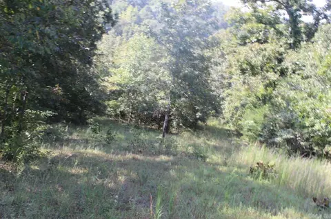 307 Bammy Dr, Harriet, AR 72639 photo 27