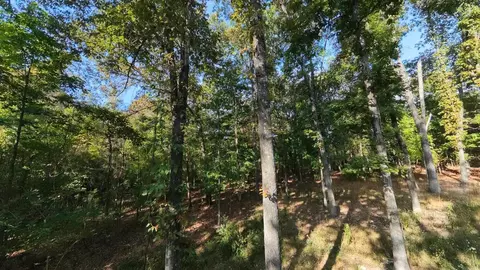 000 Riverbend Rd #LOT 14, Mammoth Spring, AR 72554 photo 3
