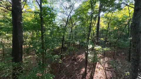 000 Riverbend Rd #LOT 18, Mammoth Spring, AR 72554 photo 4
