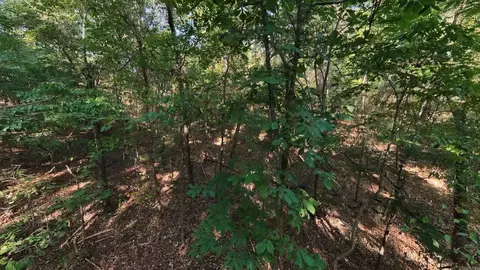 000 Riverbend Rd #LOT 19, Mammoth Spring, AR 72554 photo 4