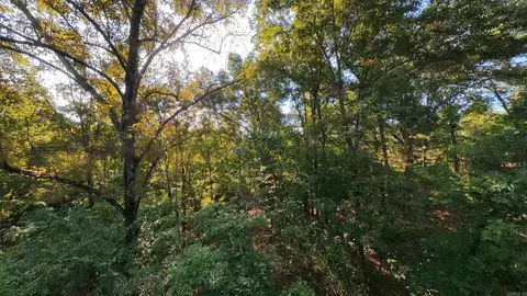 000 Riverbend Rd #LOT 19, Mammoth Spring, AR 72554 photo 3