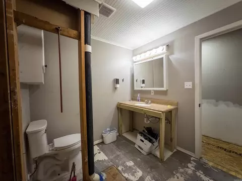 Bath - 102 Brungardt Dr, Cabot, AR 72023 photo 6 of 8