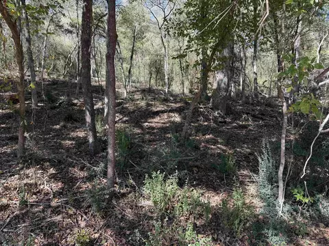 00 Cozy Acres, Mountain Pine, AR 71956 photo 4