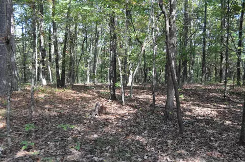 000 Skip Ln, Bee Branch, AR 72013 photo 5