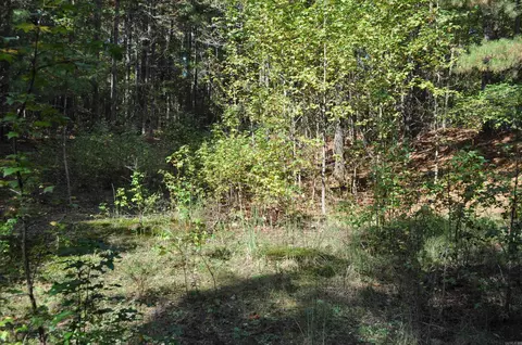 000 Skip Ln, Bee Branch, AR 72013 photo 4