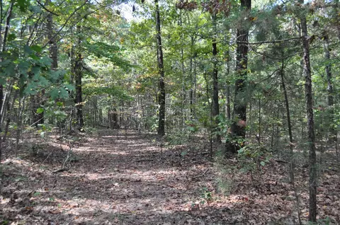 000 Skip Ln, Bee Branch, AR 72013 photo 3