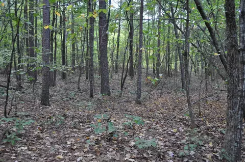 000 Skip Ln, Bee Branch, AR 72013 photo 2