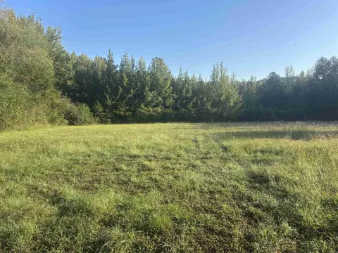 2226 Barrens Loop, Clinton, AR 72031 photo 2