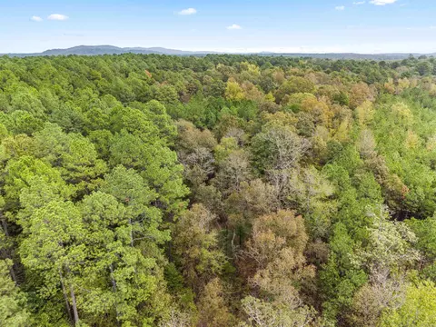 View/Area - 3150 Hwy 84, Amity, AR 71921 photo 3 of 4