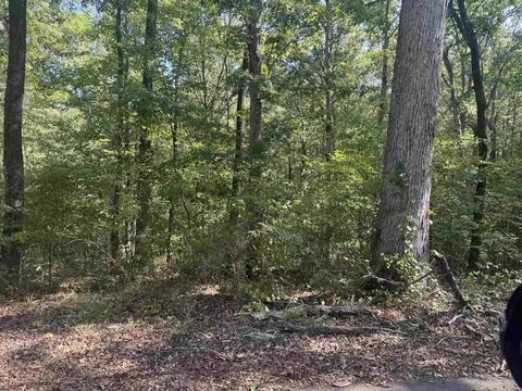 0000 Prysock Rd, Benton, AR 72015 photo 3