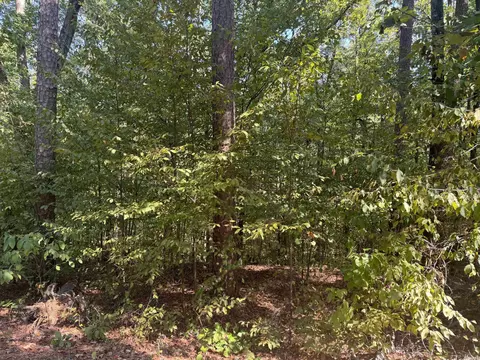 0000 Prysock Rd, Benton, AR 72015 photo 2