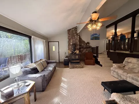 Living - 4784 Lazy Acres Rd, Protem, AR 65733 photo 4 of 5