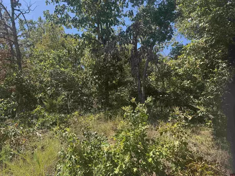 00 Mcdonald Meadows Pkwy, Bull Shoals, AR 72619
