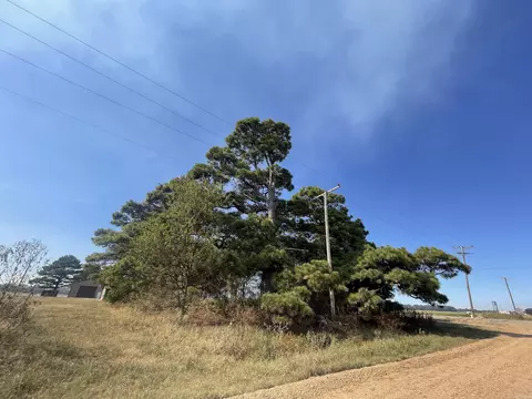 1 Highway 214, Weiner, AR 72479 photo 4