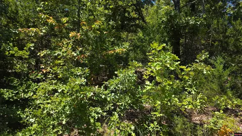 00 Hillcrest, Bull Shoals, AR 72619