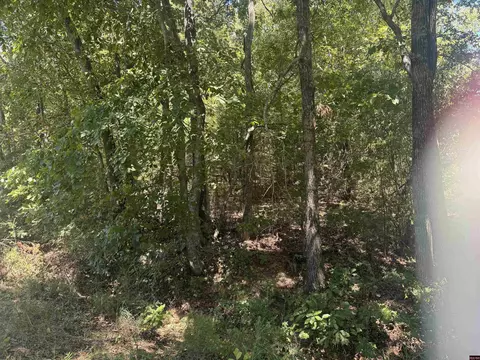 00 Lynnette, Bull Shoals, AR 72619