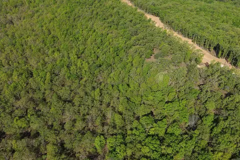 25 7 Lakes Ranch Blvd, Conway, AR 72023 photo 8