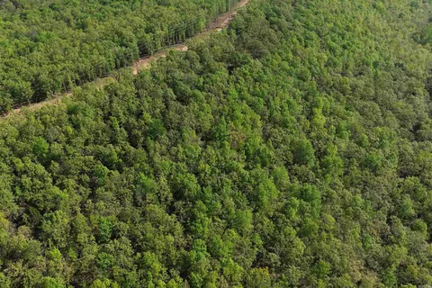 25 7 Lakes Ranch Blvd, Conway, AR 72023 photo 6
