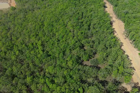 25 7 Lakes Ranch Blvd, Conway, AR 72023 photo 9