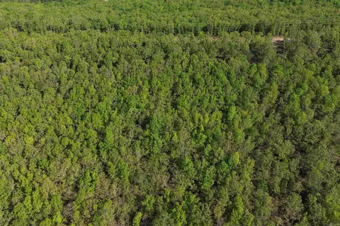 25 7 Lakes Ranch Blvd, Conway, AR 72023 photo 7