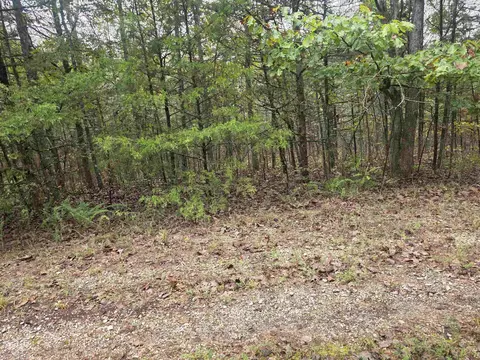 L-9, Cherokee Village, AR 72529