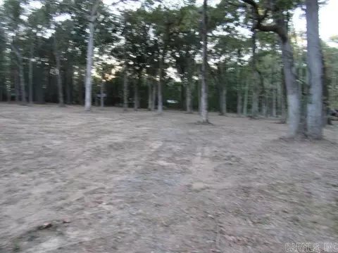 000 Sandhill, Lonoke, AR 72086 photo 2