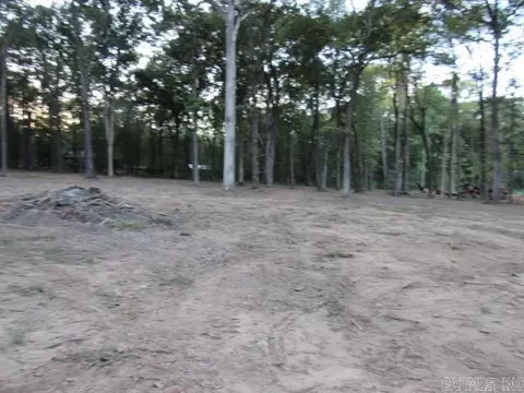 000 Sandhill, Lonoke, AR 72086 photo 7