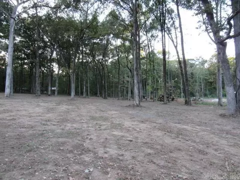 000 Sandhill, Lonoke, AR 72086 photo 4