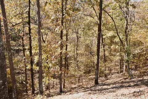 Exterior - 1708 Riverview Dr, Malvern, AR 72104 photo 13 of 15