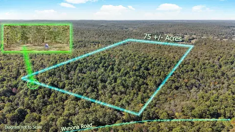 Tuska Drive, Cherokee Village, AR 72529
