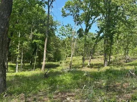 195 Old Springfield Dr, Quitman, AR 72131 photo 36