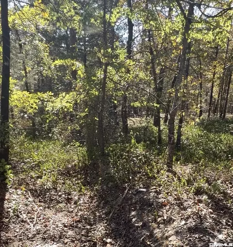 8 Paella Ln, Hot Springs Village, AR 71909
