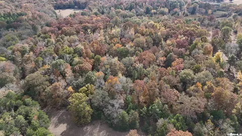 206 Weeping Willow Ln, Mena, AR 71953 photo 24