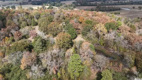 206 Weeping Willow Ln, Mena, AR 71953 photo 19