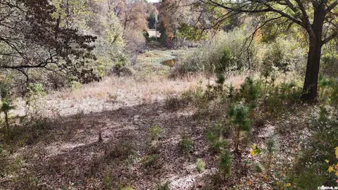 206 Weeping Willow Ln, Mena, AR 71953 photo 13
