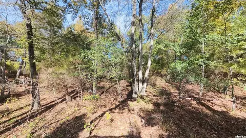 1 Pleasant Run Road, Mammoth Spring, AR 72554 photo 7