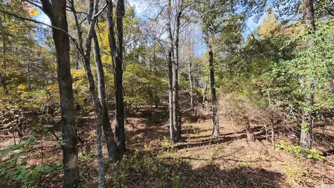1 Pleasant Run Road, Mammoth Spring, AR 72554 photo 8