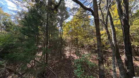 1 Pleasant Run Road, Mammoth Spring, AR 72554 photo 9