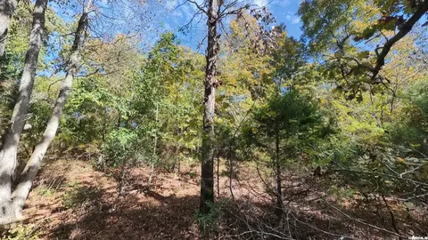 1 Pleasant Run Road, Mammoth Spring, AR 72554 photo 10