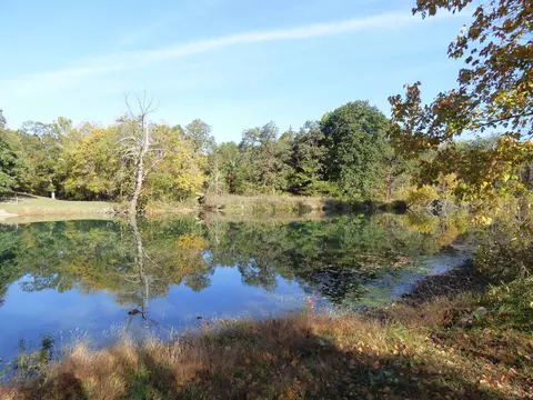 tbd Saddler Falls Rd, Mammoth Spring, AR 72554 photo 6