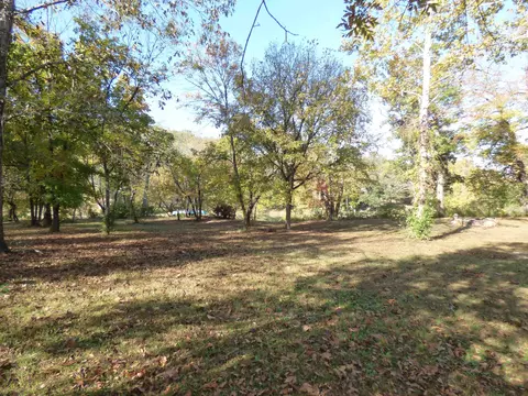 tbd Saddler Falls Rd, Mammoth Spring, AR 72554 photo 2