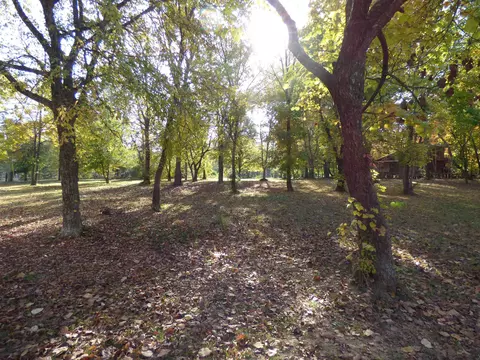 tbd Saddler Falls Rd, Mammoth Spring, AR 72554 photo 5